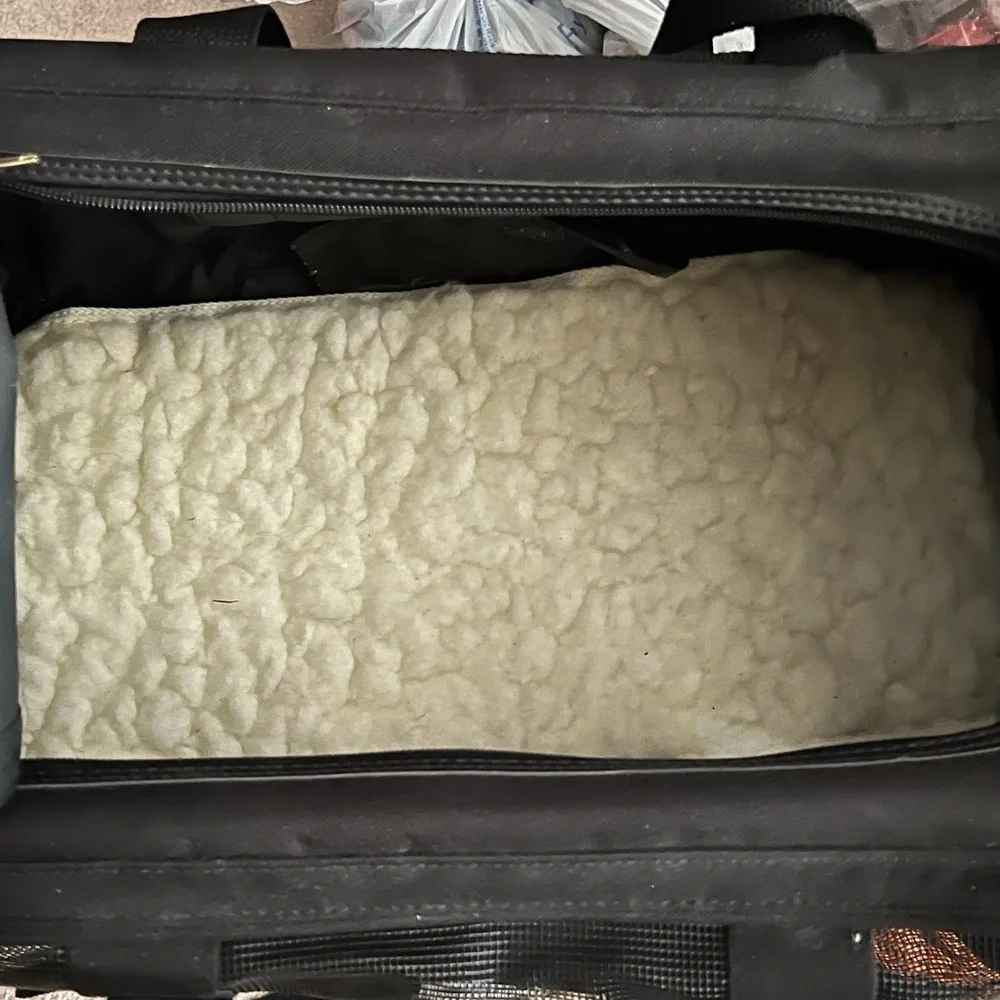 Delta pet carrier.